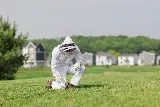 Preferred Pest Control photo 7