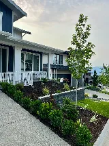 Alchemy Irrigation and Landscaping photo 4