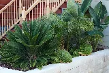 Inside Out Landscaping photo 5