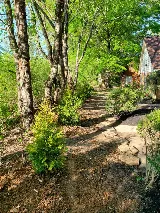 Hodges Tree & Landscape photo 5