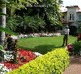 Paradise by Design Landscaping Inc. photo 5