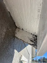 Suncoast Pest Management photo 6