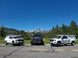 True Service Pest Control