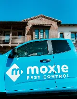 Moxie Pest Control photo 2