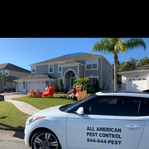 All American Pest Control photo 1