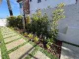 DreamWork Landscape photo 4