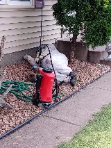 Rainbow Pest Experts photo 7