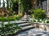 Walter's Landscaping photo 6