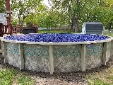 Parrot Pool Service photo 8