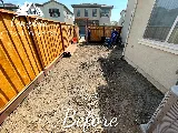 Complete Landscape photo 4