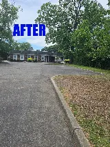 Snipes Lawn & Landscaping photo 8