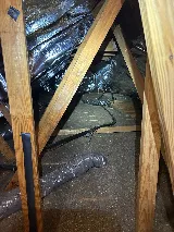 Moxie Pest Control photo 7