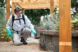 PestMaster of Asheville photo 8