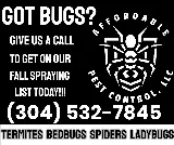 Affordable Pest Control photo 3