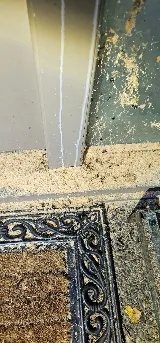 Alpine Pest Control LTD photo 4