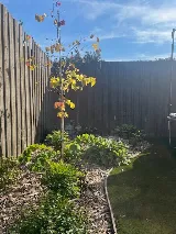 Gardens for Texas photo 7
