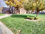 Iconic Lawn & Tree photo 6