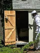 Anchor Pest Services photo 8