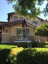 CURA Termite and Pest Control photo 4