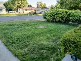 Alta Pest Control photo 7