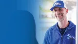 Blue Beetle Pest Control