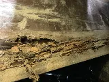 Dunlap Termite and Pest Control photo 2