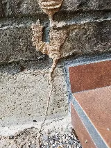 AAA Pest Control photo 8