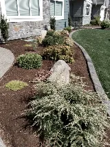 TyDe Garden and Landscape Design Courtenay photo 7