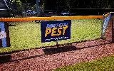 Port City Pest photo 8