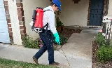 Prolific Pest Control