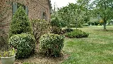 ERICS LAWN SERVICE photo 6