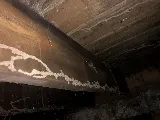 Pro-Staff Termite & Pest Control of The Midwest, LLC photo 6