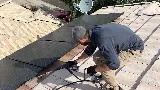 Green Home Pest Control Tucson photo 4