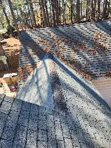 Professional Roofing Solutions