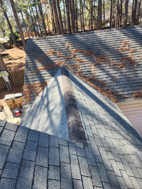 Professional Roofing Solutions in Savannah