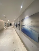 All Painting Toronto photo 8