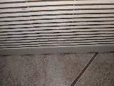 Orkin Canada Pest Control photo 7