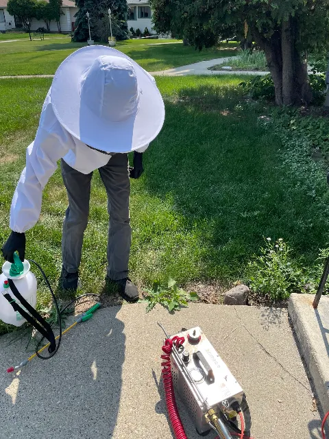 Precision Pest Control photo 1
