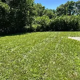 LawnStarter Landscaping photo 7