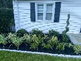 E Landscaping LLC photo 6