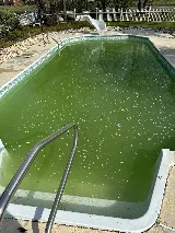 Leland Pool Cleaning LLC photo 6