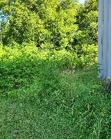 Lawns of Texas photo 5