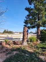 Landscaping & Gardening service photo 4