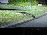 Turner Pest Control photo 5