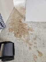 Quality Carpet + Restoration photo 8