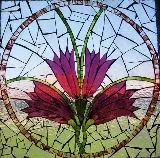 The Glass & Door Company