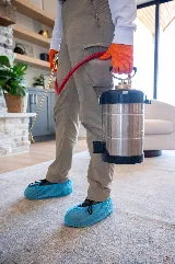 Vertex Pest Control photo 2