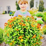 Penn Landscaping and Sunburst Nursery