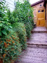 Artisans Landscape Inc photo 7