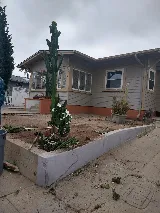 Aldape G Landscaping Inc photo 7